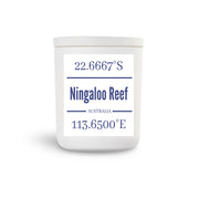 NINGALOO REEF, WA