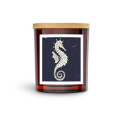 SEAHORSE